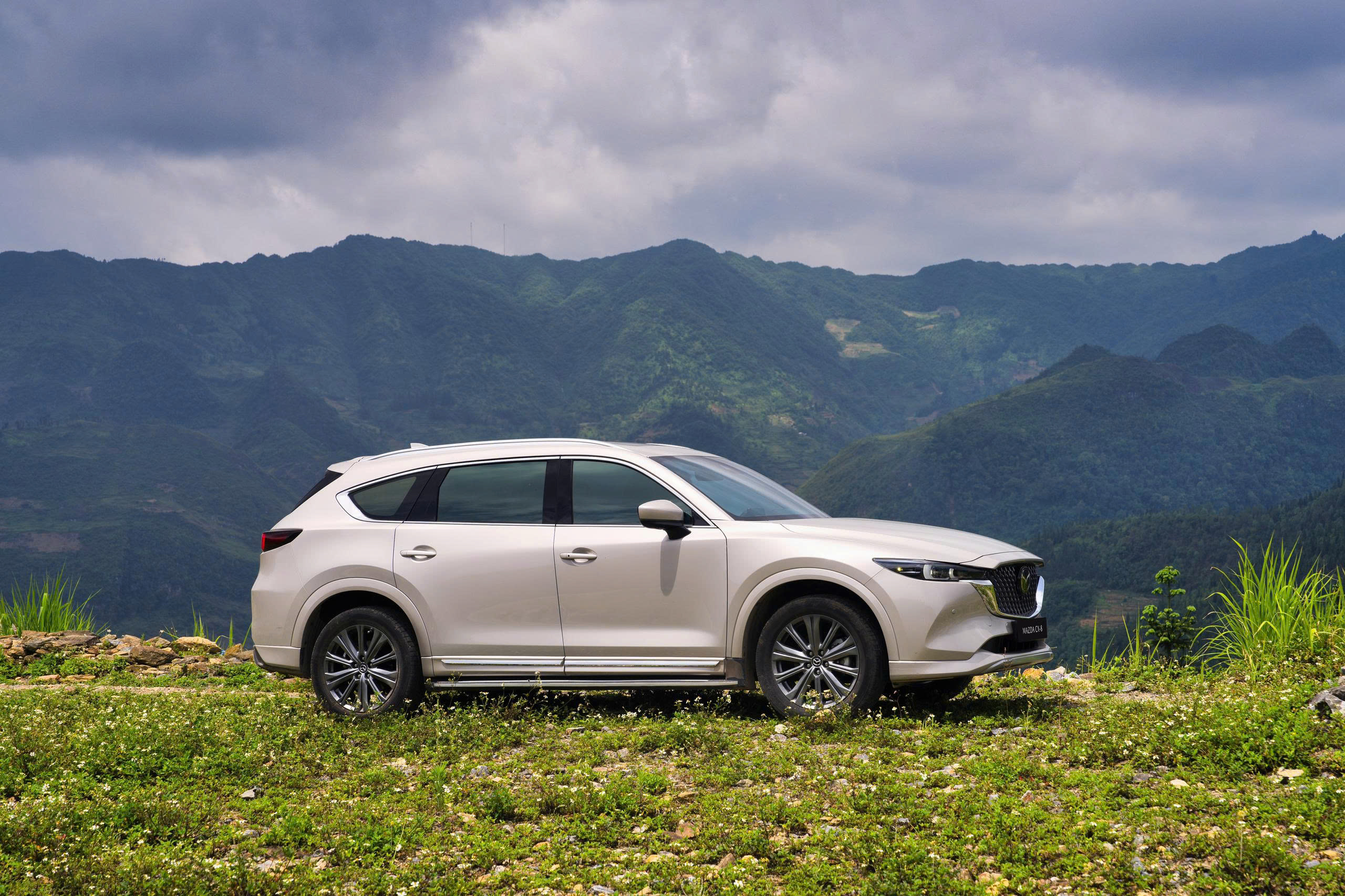 ctbh-mazda-cx-8